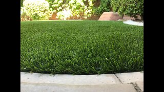 Thinking about installing artificial grass? The pros and cons