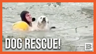 Man Jumps into Icy Pond to Rescue Very Cold Dog