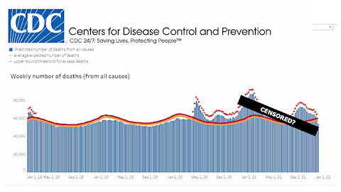 What is US CDC Trying to Hide In their Excess Deaths/Select Cause of Death Data?