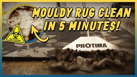 Hazardous Mouldy Rug Clean | Satisfying Carpet Cleaning | In Under 5 Minutes