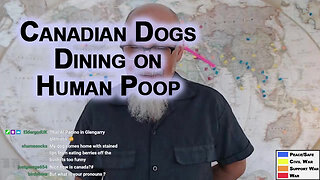 Homelessness in Canada Is So Prevalent That Dogs in Parks Are Dining on Human Poop: Collapse