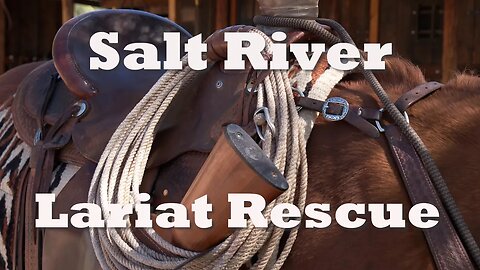 Heroic River Rescue: Woman Saved by Amazing Roping Skills!