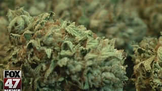 City council to review proposed medical marijuana ordinance