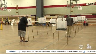 Issues with primary election ballots