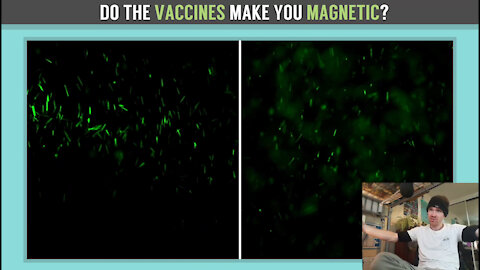 Soapbox Sewer - Do The Vaccines Make You Magnetised? - Part 2: The Science