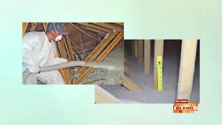 Insulating Your Home Against Pests