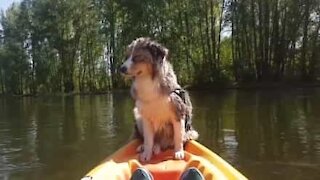 Si addormenta sul kayak e rischia di cadere in acqua