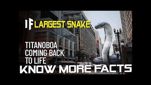 world biggest Titanoboa