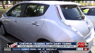 Chevron teaming with dairy farms