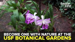 Become one with nature at the USF Botanical Gardens | Taste and See Tampa Bay