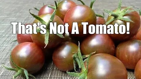 Storing Tomatoes and Reframing Brains!