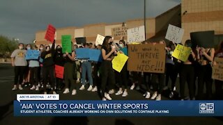 AIA votes to cancel winter sports