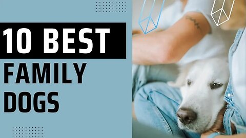 Ten Best Family Dogs