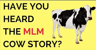 Have You Heard The MLM Cow Story? | Mike Healy