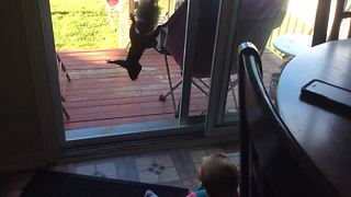 Watch Closely As Baby Becomes Best Friends with Squirrel - AWW!