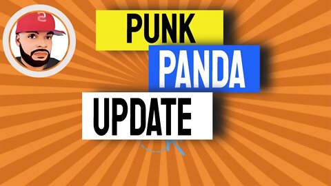PunkPanda Review 2022 | Corperate update