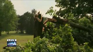 Trees down after storms hit Milwaukee's south side