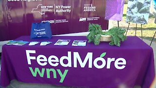 FeedMore WNY now has a farm to grow fresh produce year-round