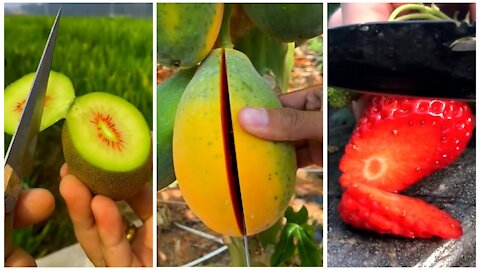 Satisficed Farm Fruit In China - Best Farmer Fruit