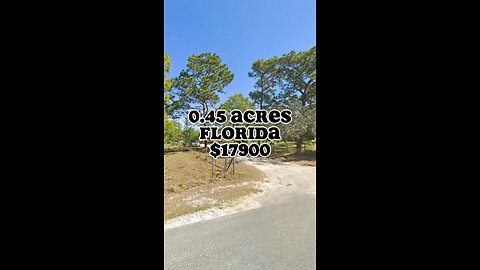 0.45 for sale in Florida for $17,900