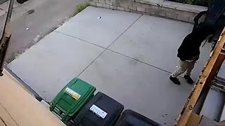 Denver garage theft
