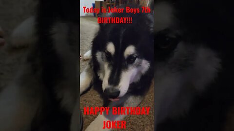 #Jokers 7th #Birthday!!! #Show some #Love