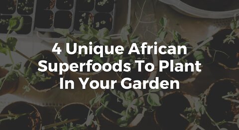 4 Unique African Superfoods To Plant In Your Garden
