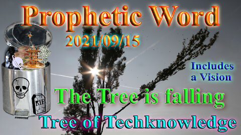 Prophecy: Tree of knowledge fall as technology, Tree of life stands firm, Trump