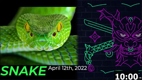 SNAKE - April 12th, 2022