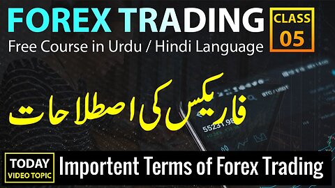 Most Important Terms in Forex Trading - Forex Sekho