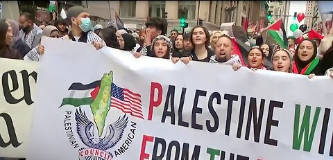 Palestinian-Americans hold rally in Chicago
