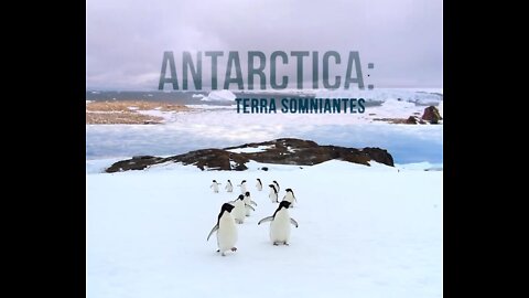 Antarctica Terra Somniantes / 2020 (DOKU)