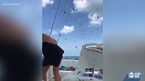 Florida woman's fishing trip ruined by love bugs