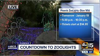 Countdown to ZooLights at the Phoenix Zoo