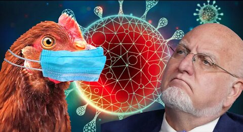 Scientists Use CRISPR To Gene-Edit Chickens