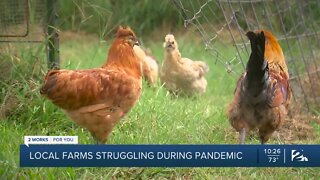 Local farms struggling during pandemic