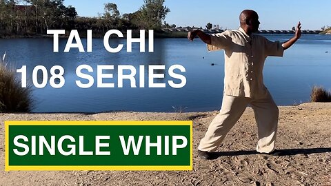 Tai Chi 108 Series: Single Whip with Dr. Todd Martin