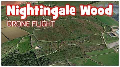 Nightingale Wood - The Morning Flight 23rd Feb 2024