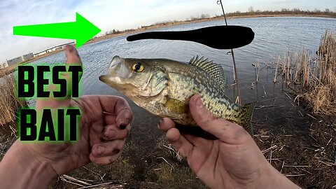 The BEST Ultralight Bait to Catch TONS of Fish! #fishing #pondfishing