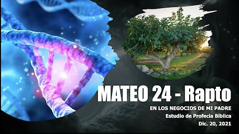 Mateo 24, Cuándo y Rapto