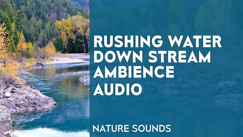 Rushing Water Down Stream Ambience Audio - Nature Sounds - For Relaxation, Focus, Destress