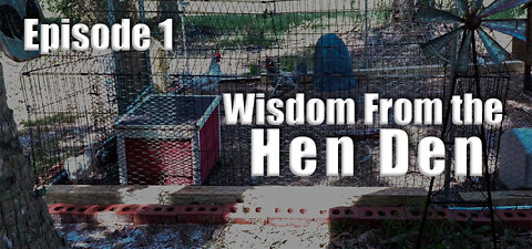 Wisdom From the Hen Den (s1e1) - Why?