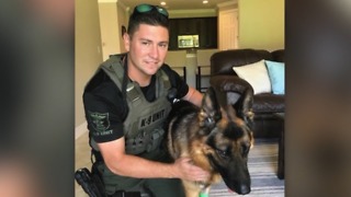 Martin County Sheriff's Office K9 Kaspar recovering after surgery