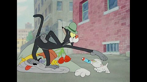 MGM CARTOONS | Bad Luck Blackie- Little kitty is very naughty🤪🤪