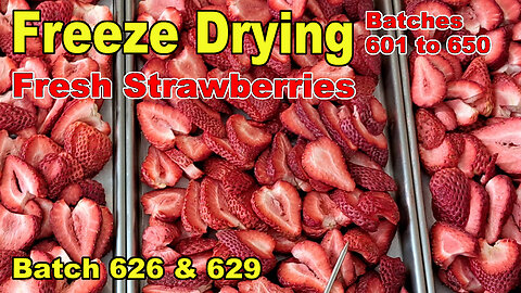 Freeze Drying Strawberries Fresh Sliced - Batches 626 & 629