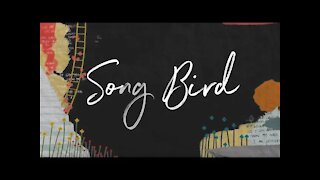 Toxic Nobility - Song Bird | Lyric Video