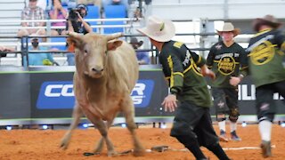 Fearless Frank Protects Bullriders