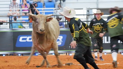 Fearless Frank Protects Bullriders