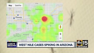 West Nile cases spiking in Arizona