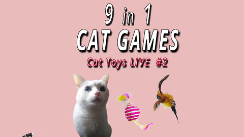 CAT GAMES: CAT TOYS LIVE #2